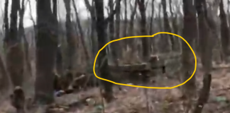 Max Velocity Tactical