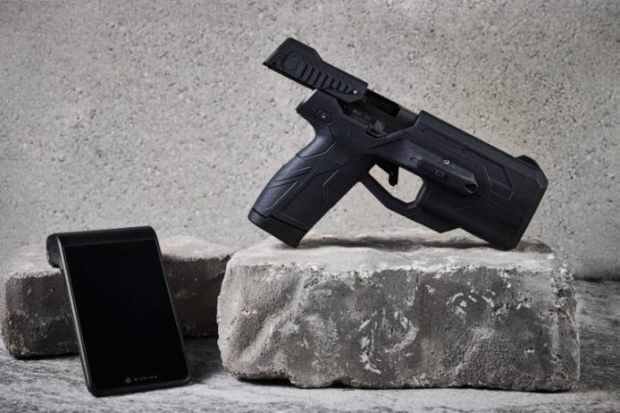 firearm-dock-1-resized.jpg