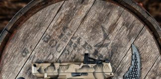 My Hybrid EDC: A ShaloTek Compensated P365 Slide Review