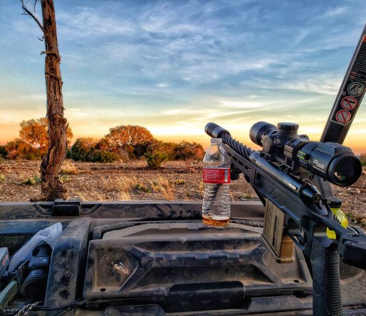 My Favorite Hunt: Chasing Wild Hogs in Texas