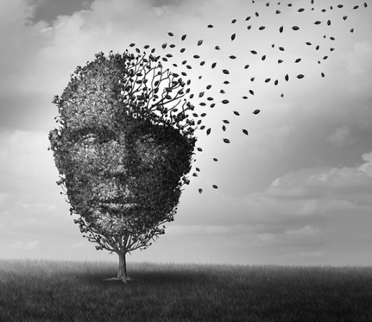 New York’s SAFE Act and Red Flag Laws Put Up Legal Barriers to Mental Healthcare in the State