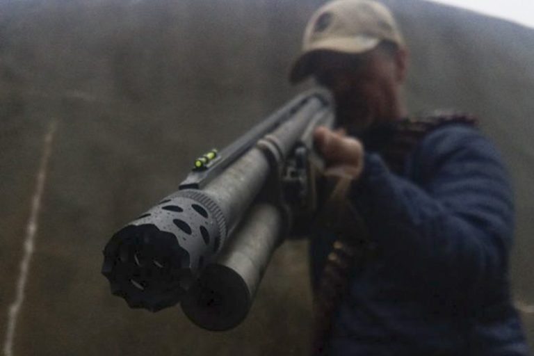 What Gun, What Ammo, and What to Do Now