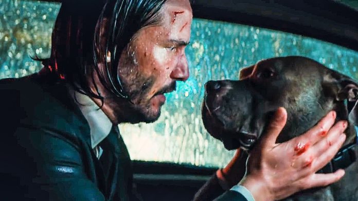 wick-dog.jpg