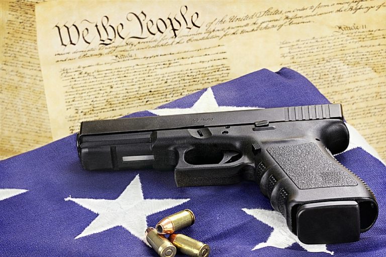 NRA Finds Constitutional Friends Amid Legal Woes