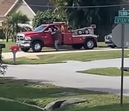 Repo Man Proves That Being Right Doesn’t Mean You Can’t Also Be Dead