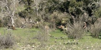 Max Velocity Tactical