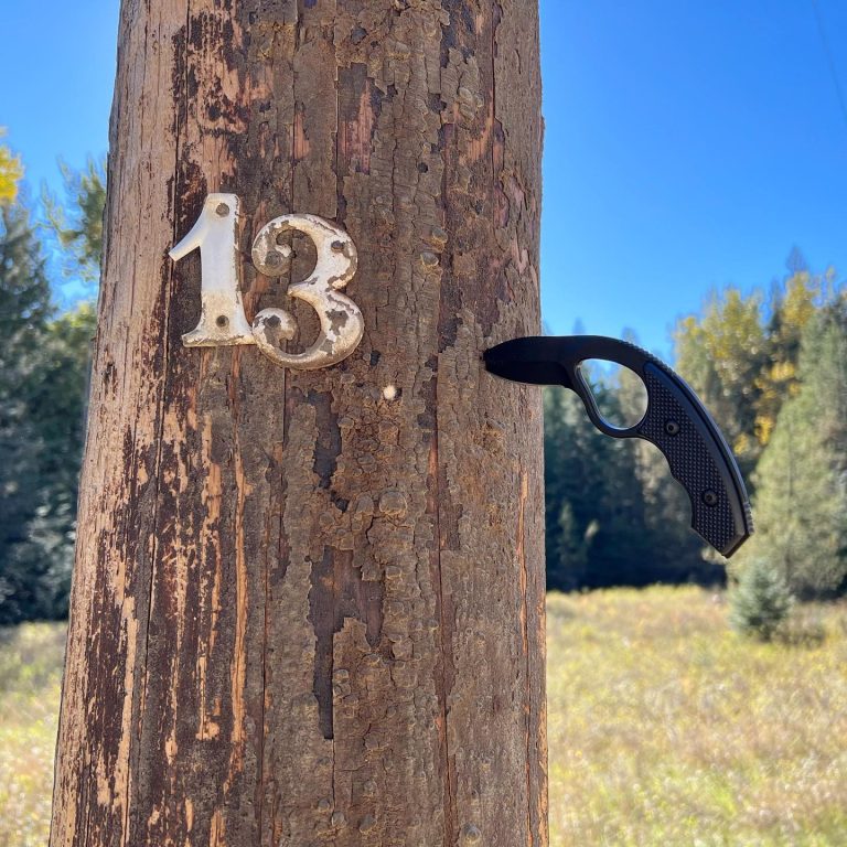 Flash Review: Regiment Blades Lo Viz Pro