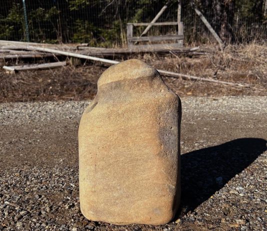 The Cheapskate Contrarian’s Guide to Prepping – Fitness